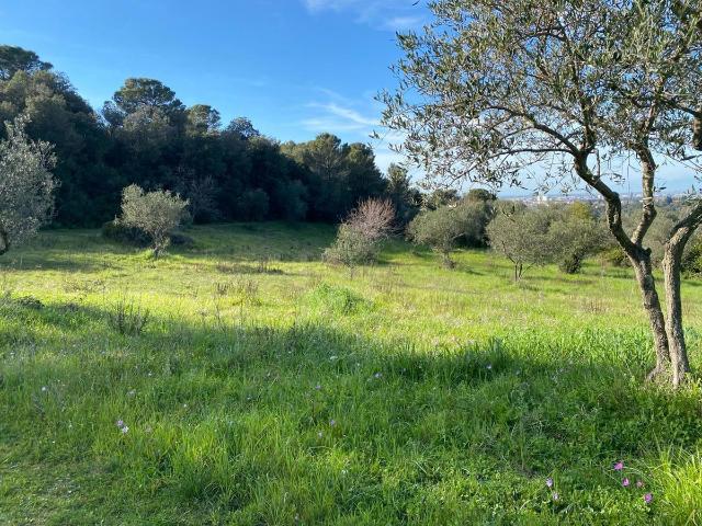 Terreno in vendita a Livorno, Toscana