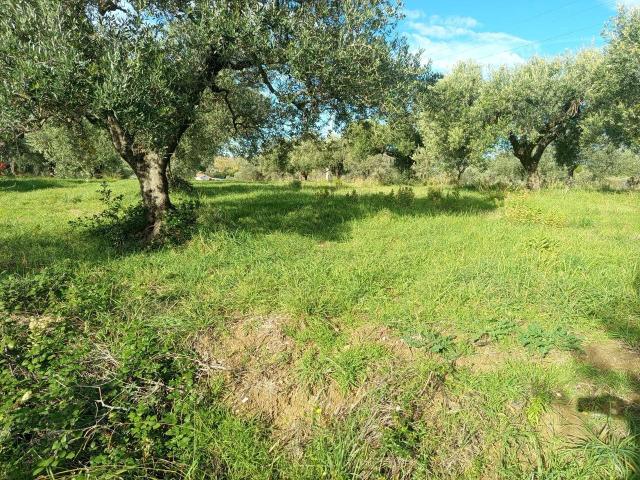 Terreno in vendita a Limoncino, Livorno