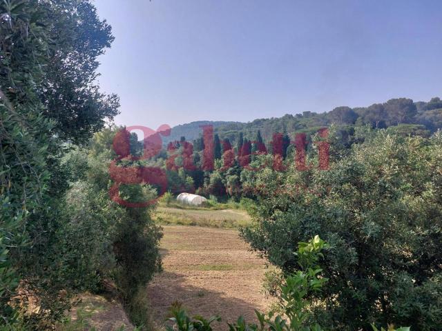 Terreno in vendita a Livorno, Toscana