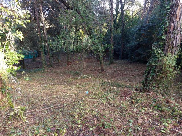 Terreno in vendita a Livorno