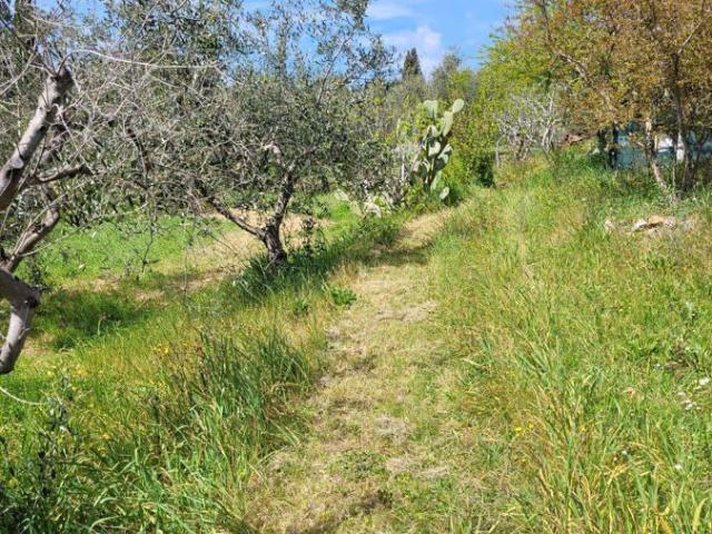 Terreno in vendita a Livorno, Toscana