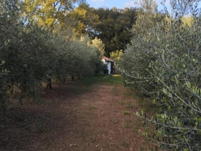 Terreno in vendita a Livorno, Toscana
