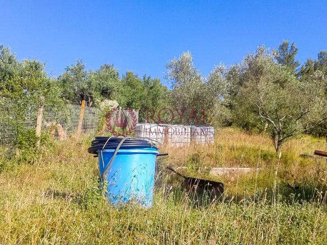 Terreno in vendita a Livorno, Toscana