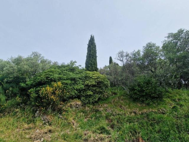 Terreno in vendita a L'Annunziata, Luni