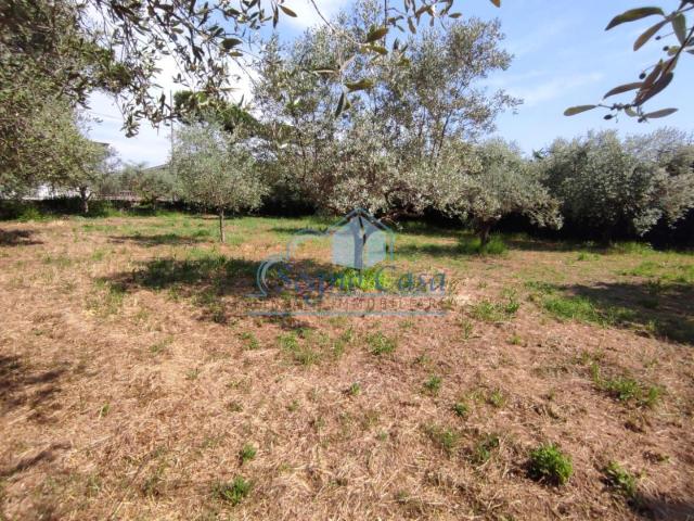 Terreno in vendita a Luni, Liguria