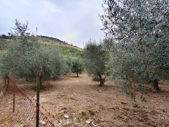 Terreno in vendita a Maenza, Latina