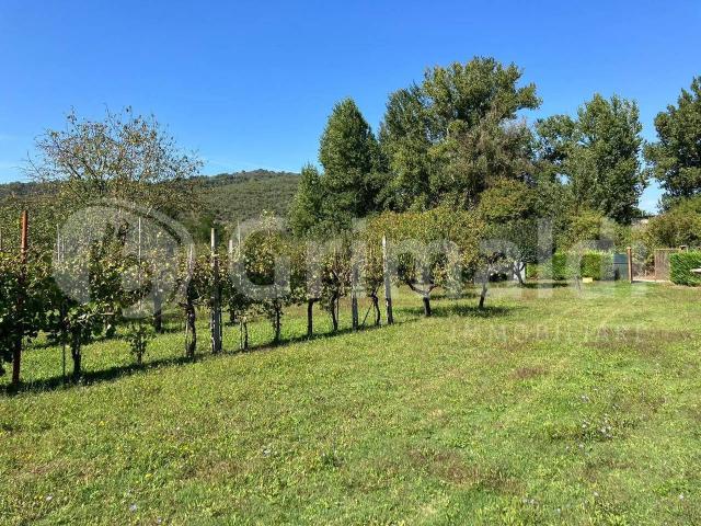 Terreno in vendita a Magione, Umbria