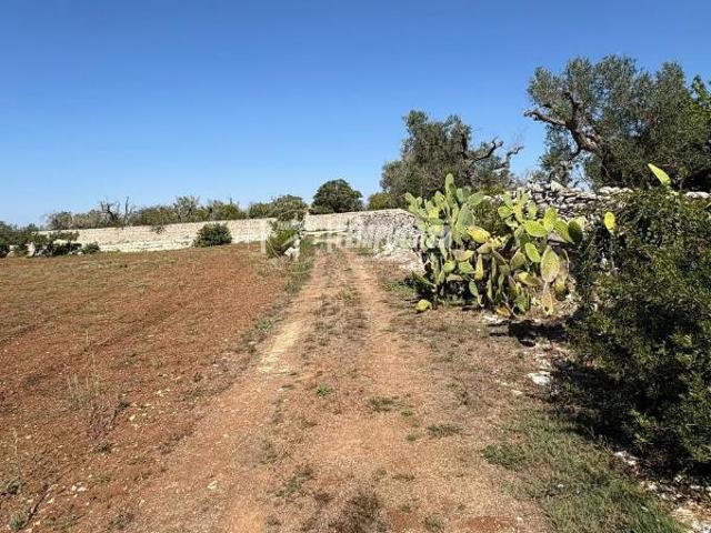 Terreno in vendita a Puglia, Lecce