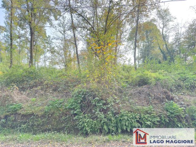 Terreno in vendita a Brebbia, Lombardia