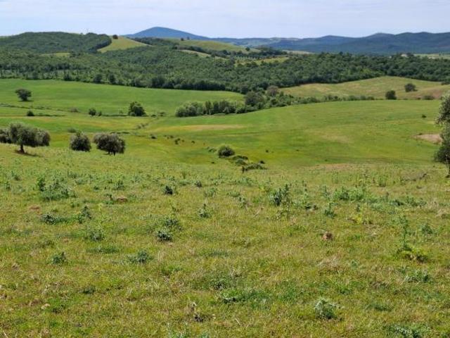 Terreno in vendita a Unione di Comuni Montani Colline del Fiora, Manciano