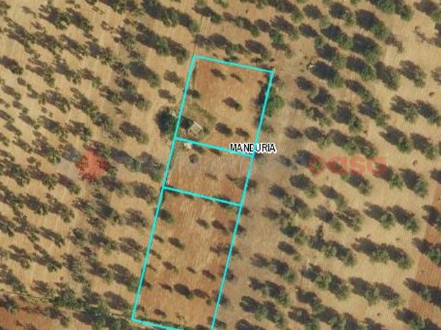 Terreno in vendita a Puglia, Taranto