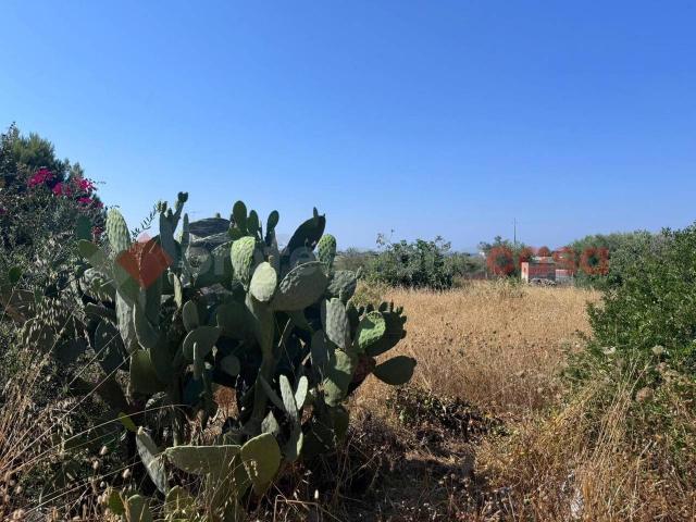 Terreno in vendita a Puglia, Taranto