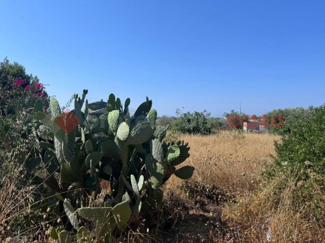 Terreno in vendita a Puglia, Taranto