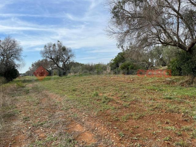 Terreno in vendita a Puglia, Taranto