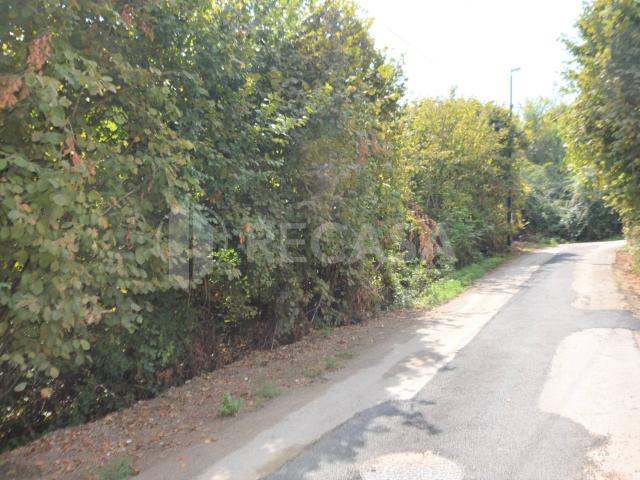 Terreno in vendita a Manocalzati, Campania