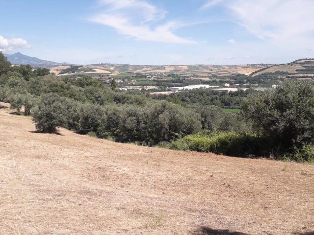 Terreno in vendita a Manoppello, Abruzzo