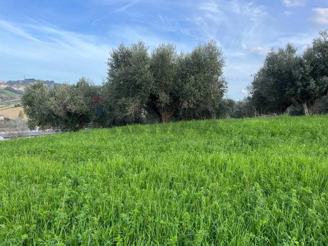 Terreno in vendita a Casalincontrada, Abruzzo