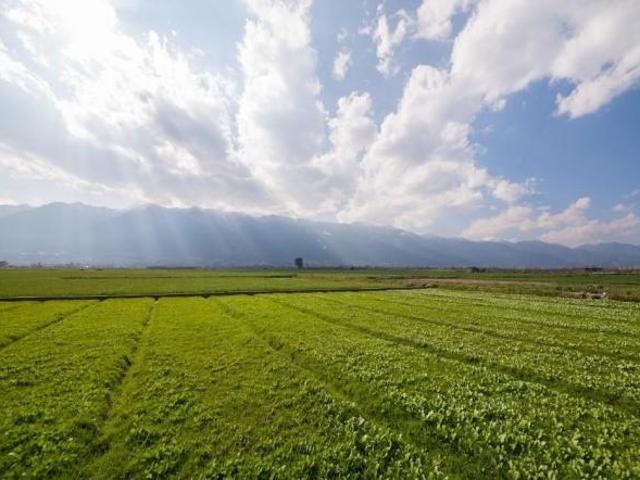 Terreno in vendita a Carrara, Toscana