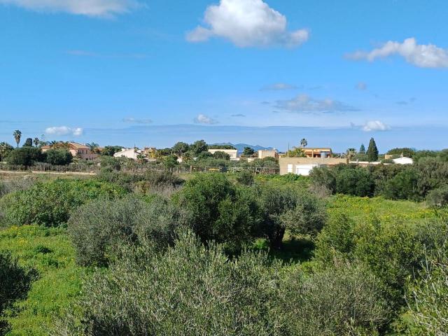 Terreno in vendita a Marsala, Sicilia