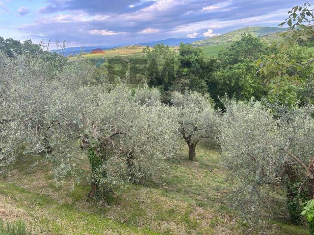 Terreno in vendita a Marsciano, Umbria