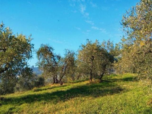 Terreno in vendita a Empoli, Firenze