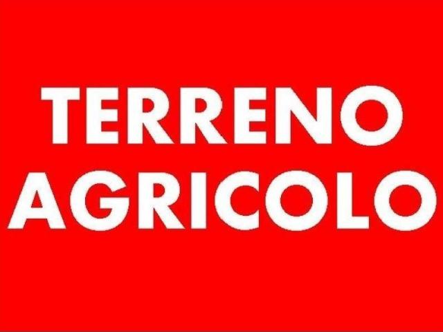 Terreno in vendita a San Cristoforo, Massa