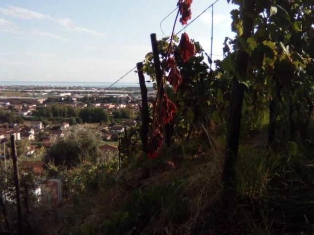 Terreno in vendita a Candia, Marina Di Massa