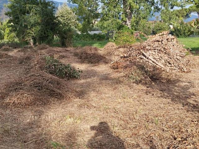 Terreno in vendita a Cinque Vie, Massa