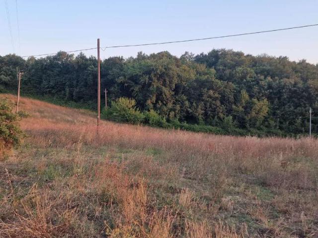 Terreno in vendita a Colpetrazzo, Umbria