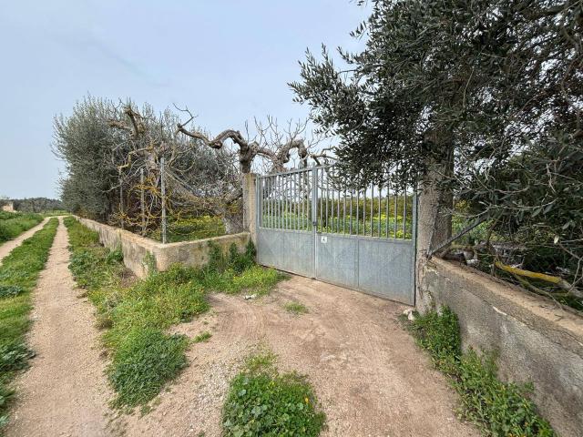 Terreno in vendita a Puglia, Taranto