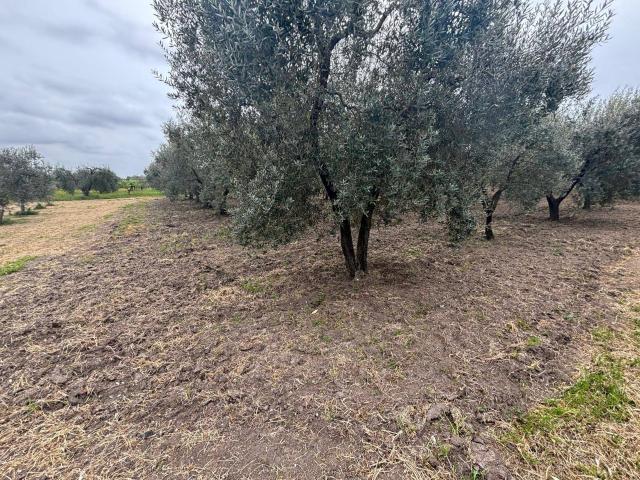 Terreno in vendita a Puglia, Taranto