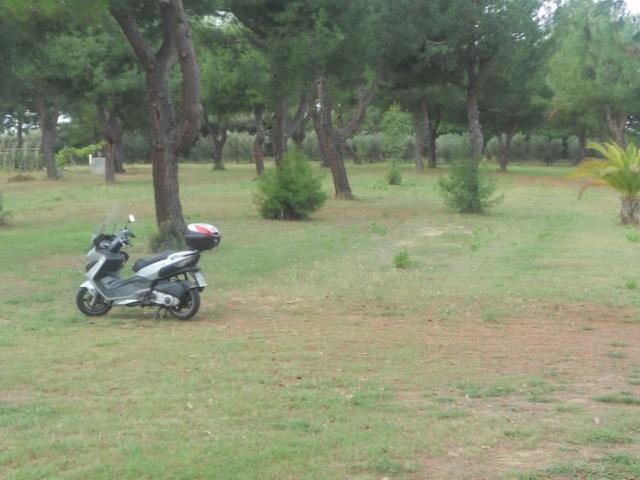 Terreno in vendita a Marche, Ascoli Piceno