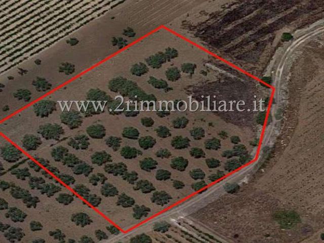 Terreno in vendita a Contrada Serroni, Mazara Del Vallo