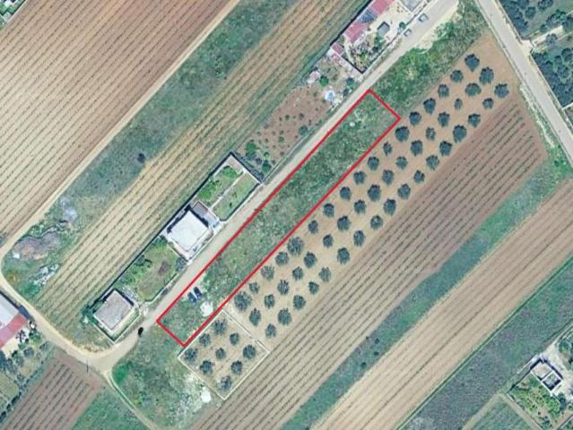 Terreno in vendita a Mazara Del Vallo, Sicilia