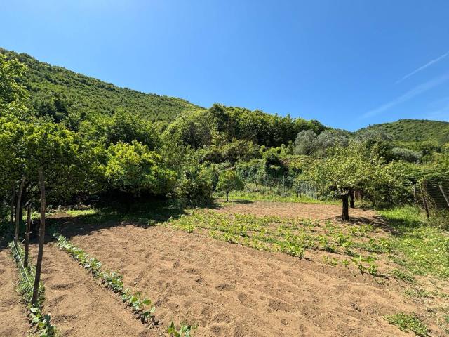 Terreno in vendita a Ospizio, Mercato San Severino