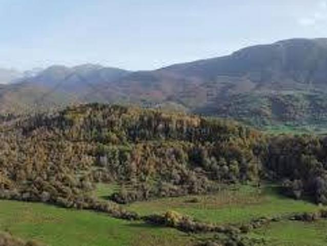 Terreno in vendita a Unione dei comuni Valle del Savio, Mercato Saraceno