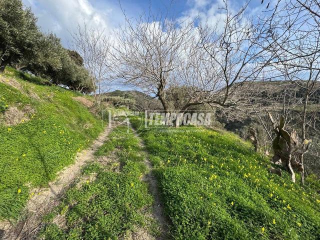 Terreno in vendita a VI Circoscrizione, Messina