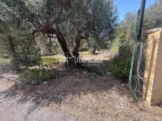 Terreno in vendita a VI Circoscrizione, Messina