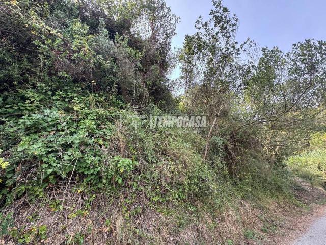 Terreno in vendita a VI Circoscrizione, Messina