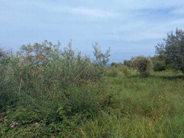 Terreno in vendita a VI Circoscrizione, Messina