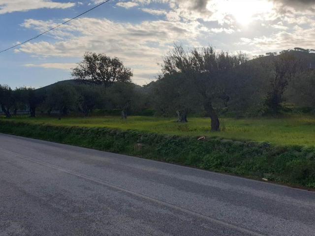 Terreno in vendita a VI Circoscrizione, Messina