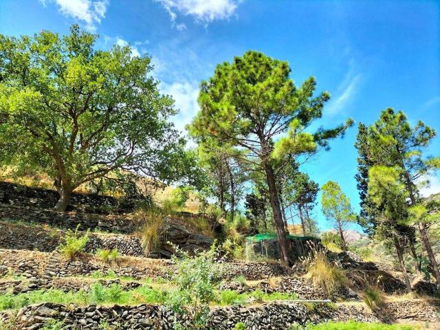 Terreno in vendita a Briga Marina, Messina