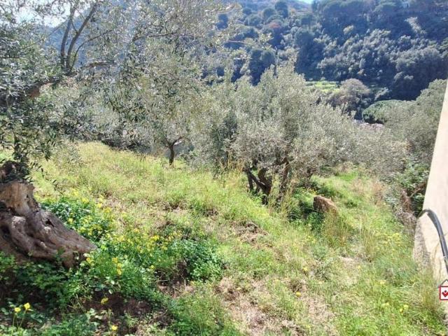 Terreno in vendita a VI Circoscrizione, Messina