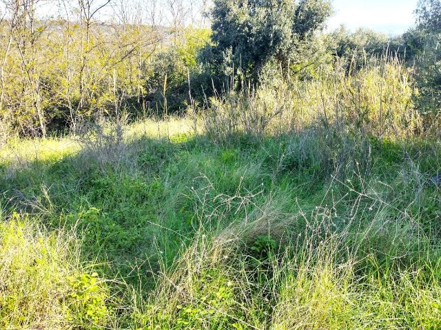 Terreno in vendita a Miglianico Di Chieti, Abruzzo