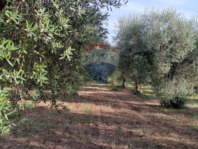 Terreno in vendita a Miglianico Di Chieti, Abruzzo