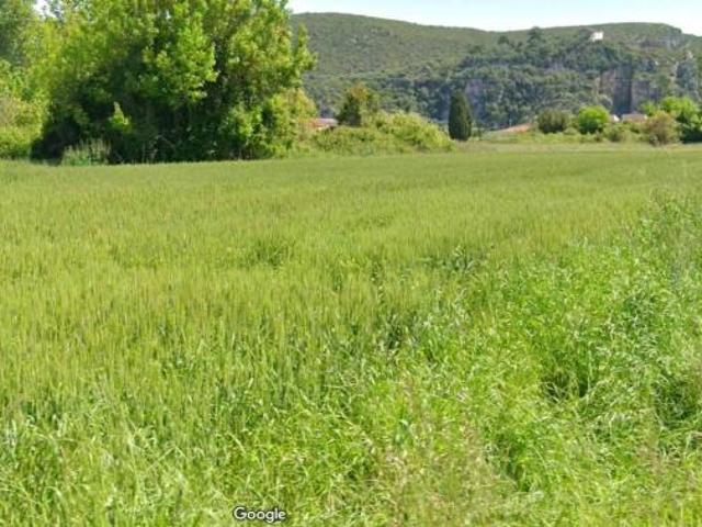 Terreno in vendita a Vecchiano, Toscana