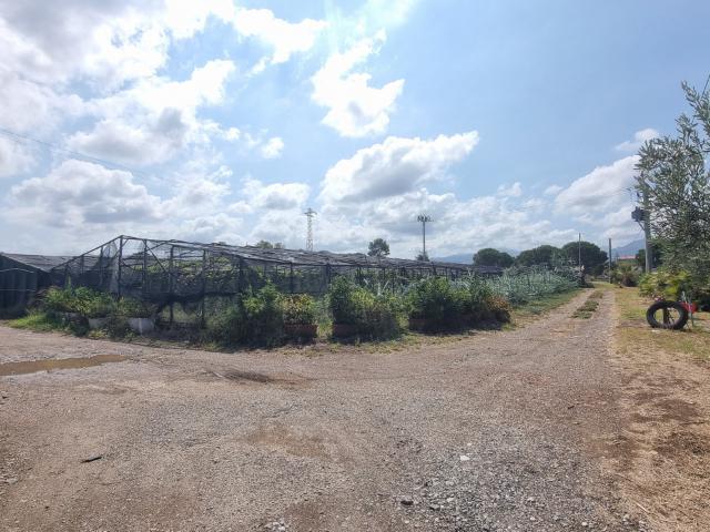 Terreno in vendita a Brigandì, Milazzo