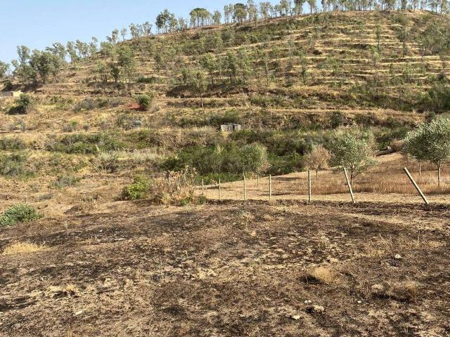 Terreno in vendita a Mineo, Sicilia