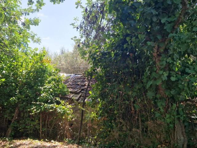 Terreno in vendita a Minturno, Lazio