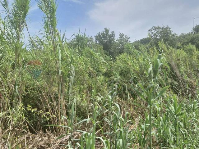 Terreno in vendita a Minturno, Lazio